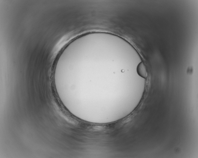 X0000111130151200906301113