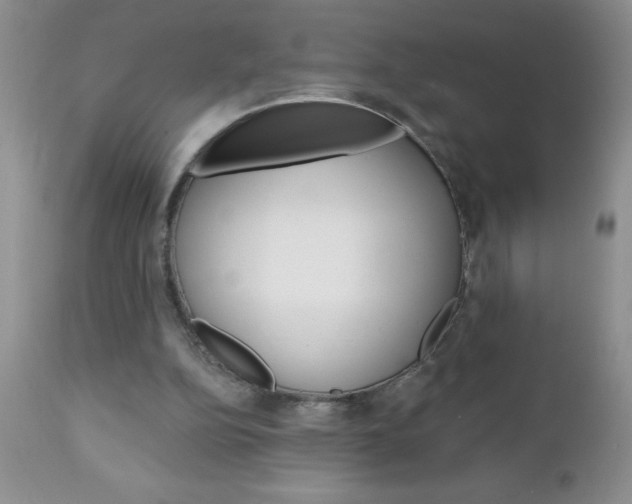 X0000111130152200906301113