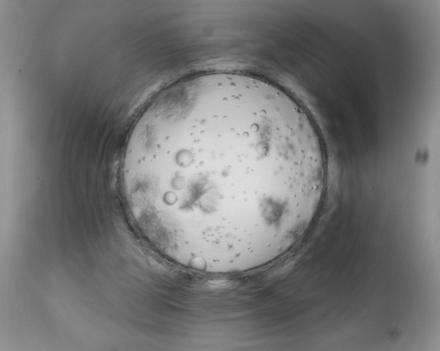 X0000111130153200906301113