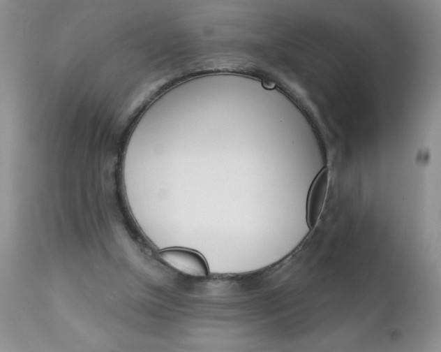 X0000111130154200906301113