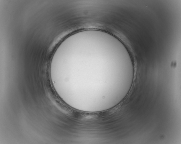 X0000111130155200906301113