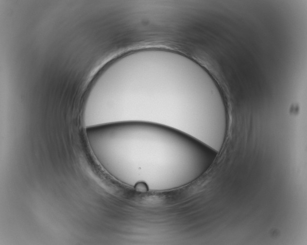 X0000111130156200906301113