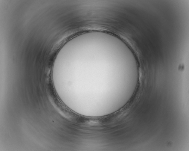 X0000111130157200906301113