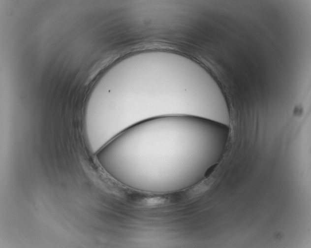 X0000111130158200906301114