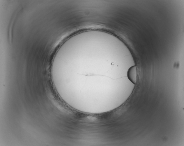X0000111130159200906301114