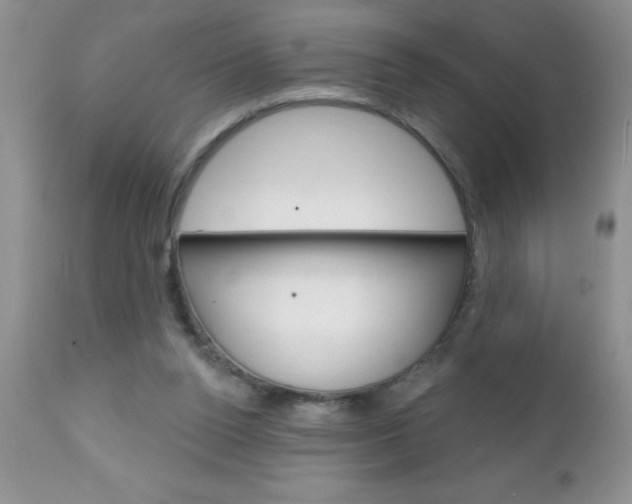 X0000111130160200906301114
