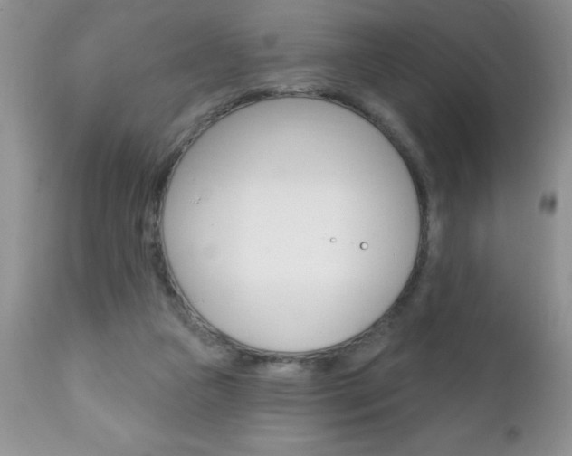 X0000111130161200906301114