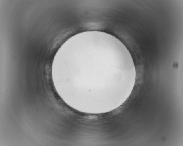 X0000111130162200906301114