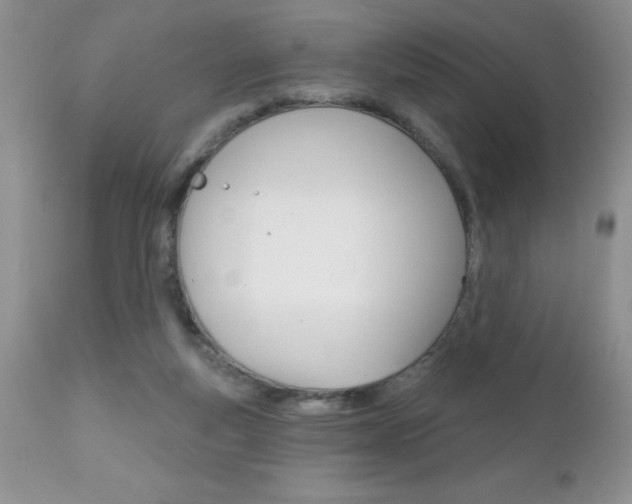 X0000111130163200906301114