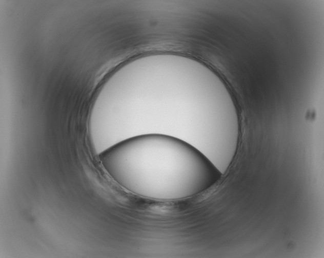 X0000111130164200906301114