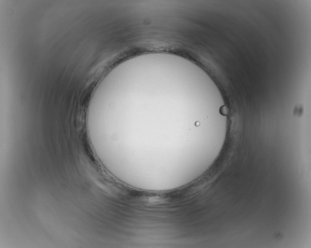 X0000111130165200906301114