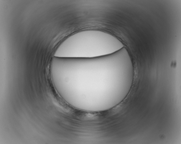 X0000111130166200906301114