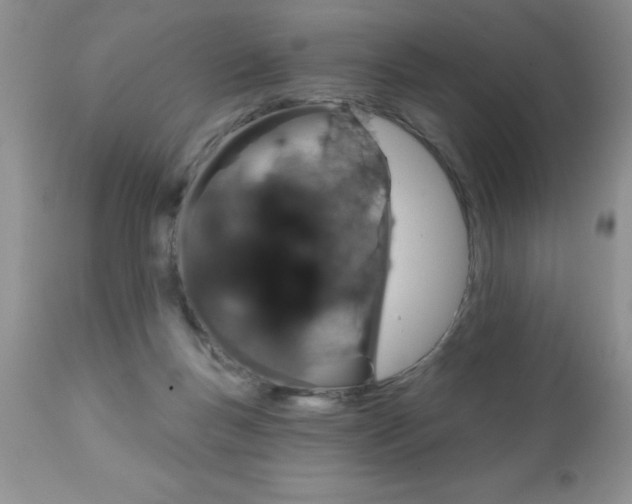 X0000111130167200906301114
