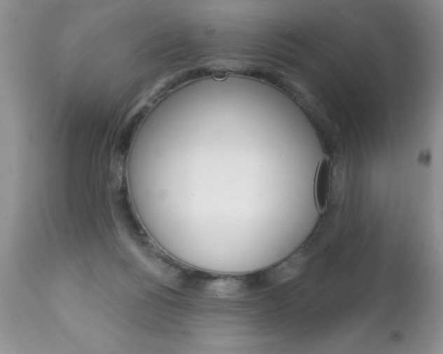 X0000111130168200906301114