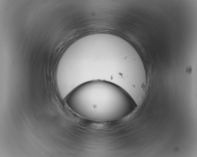 X0000111130170200906301114