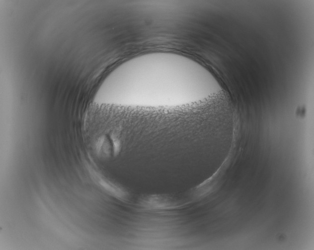 X0000111130171200906301114