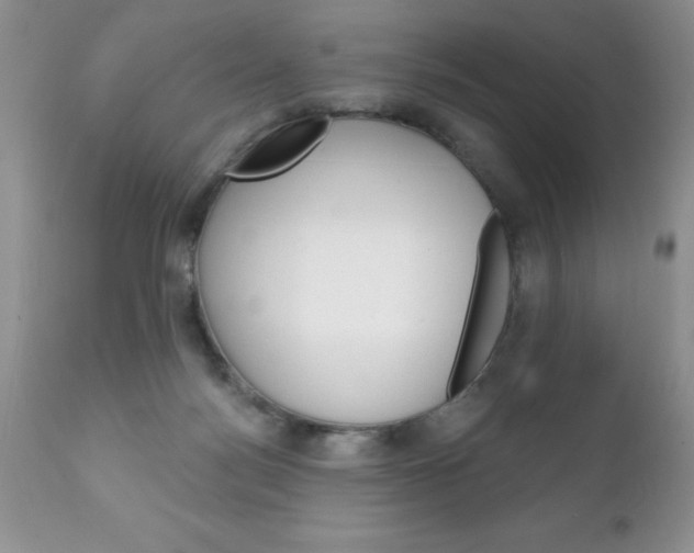 X0000111130172200906301114