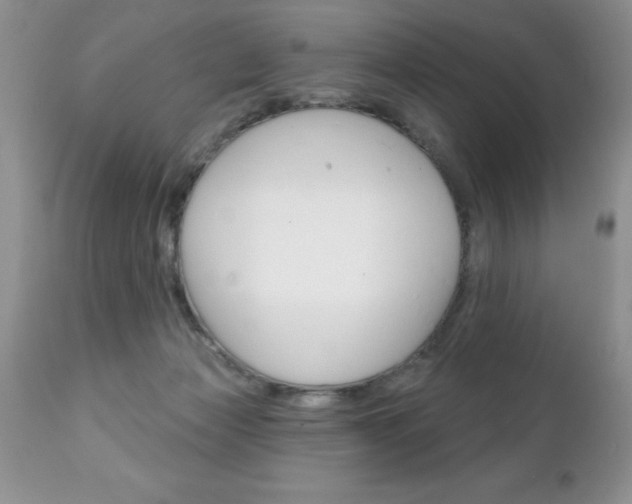 X0000111130173200906301114