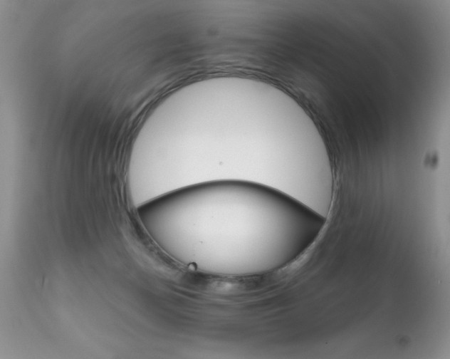 X0000111130174200906301114