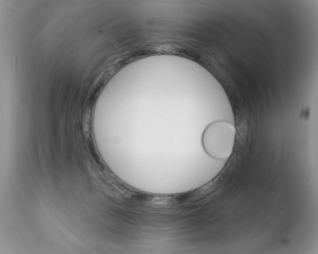X0000111130175200906301114