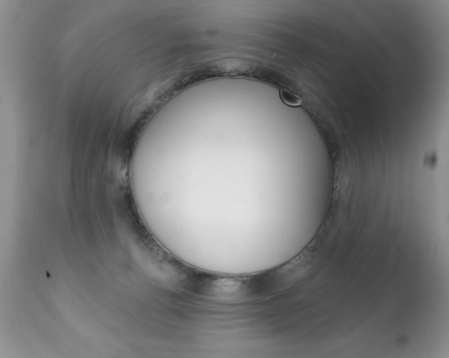 X0000111130176200906301114