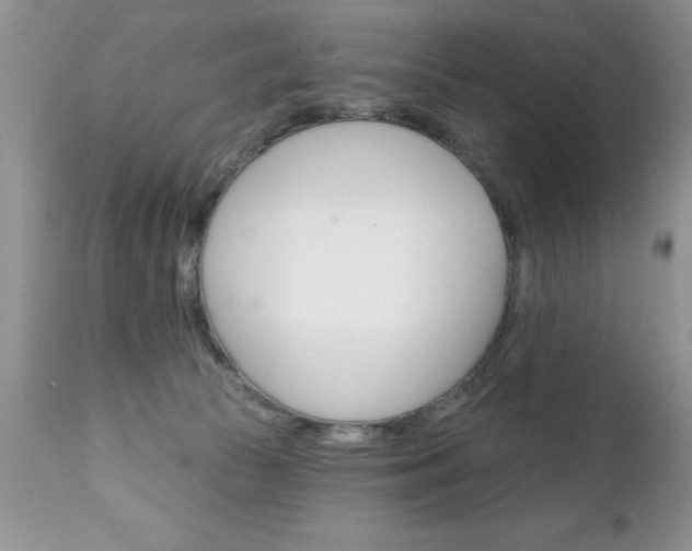 X0000111130177200906301114