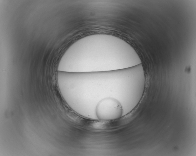 X0000111130178200906301114