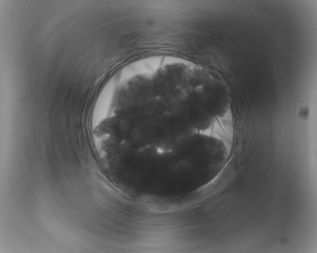 X0000111130179200906301114
