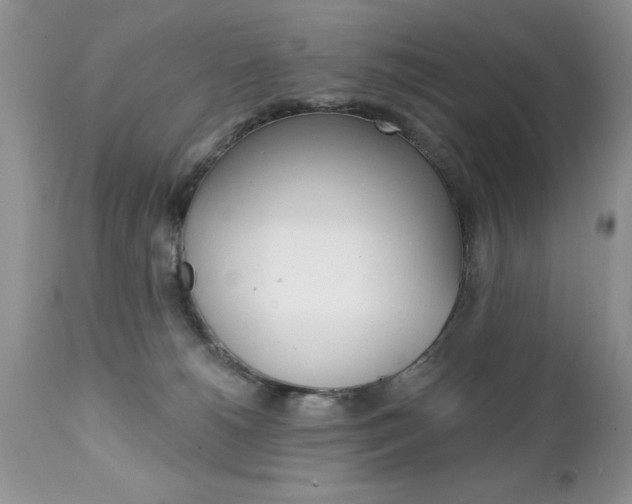 X0000111130180200906301114