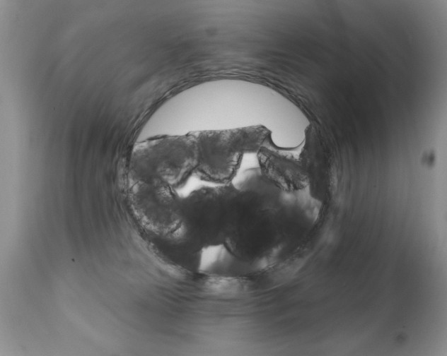 X0000111130181200906301114