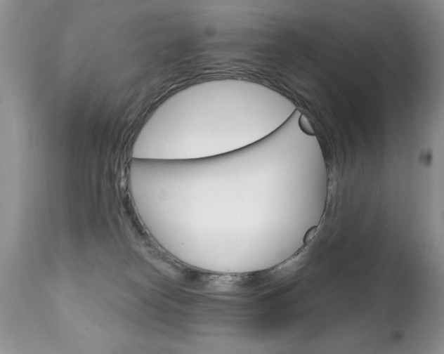 X0000111130182200906301114