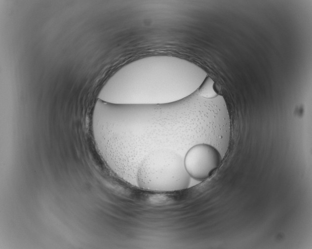 X0000111130183200906301114