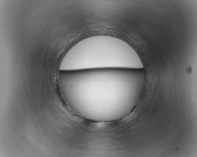 X0000111130184200906301114