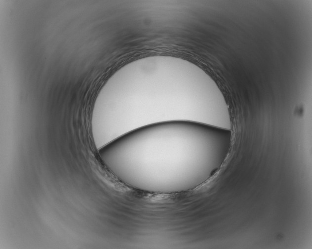 X0000111130186200906301114