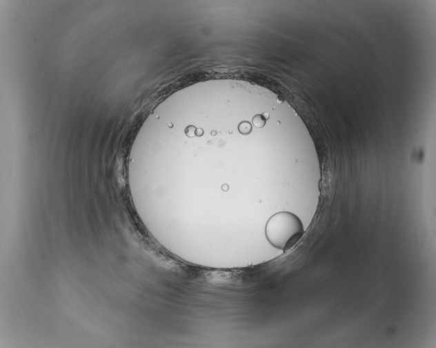 X0000111130187200906301114
