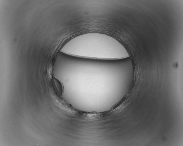 X0000111130188200906301114
