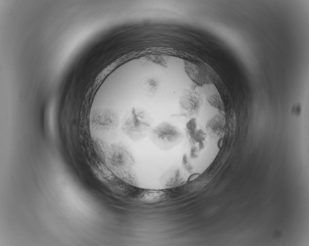 X0000111130189200906301114