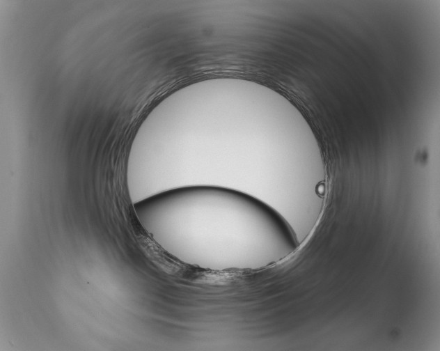 X0000111130190200906301114