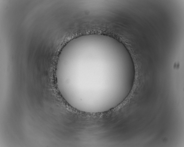 X0000111130192200906301114