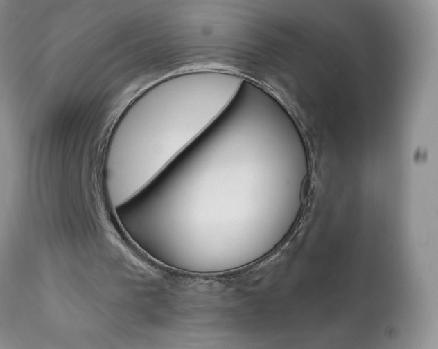X0000111130193200906301113