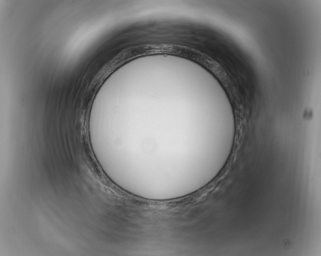 X0000111130194200906301113