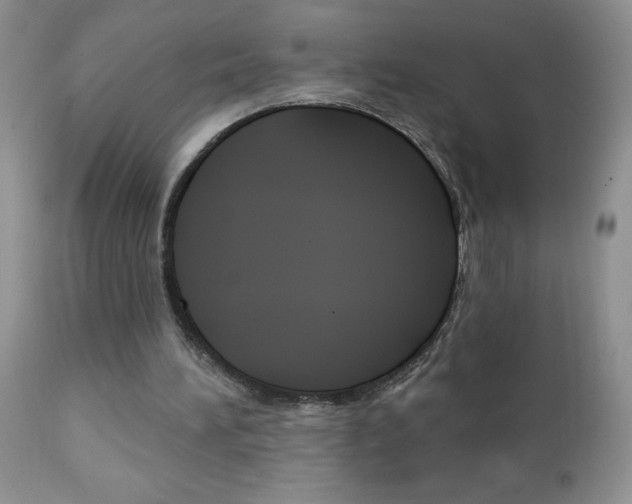 X0000111130196200906301113