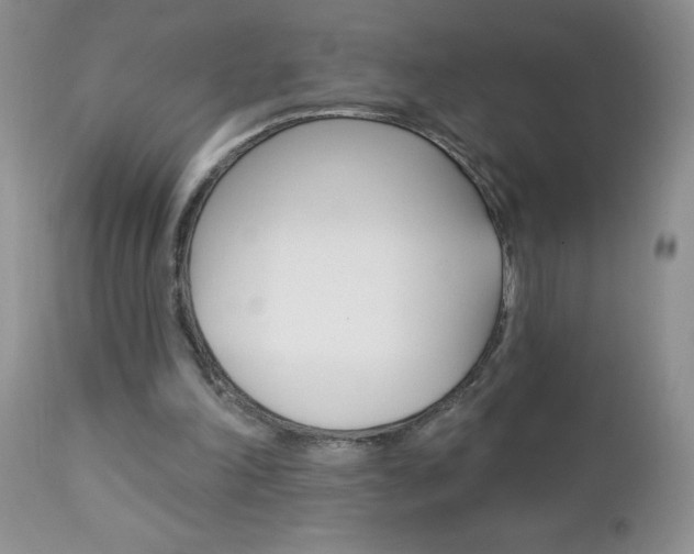 X0000111130198200906301113