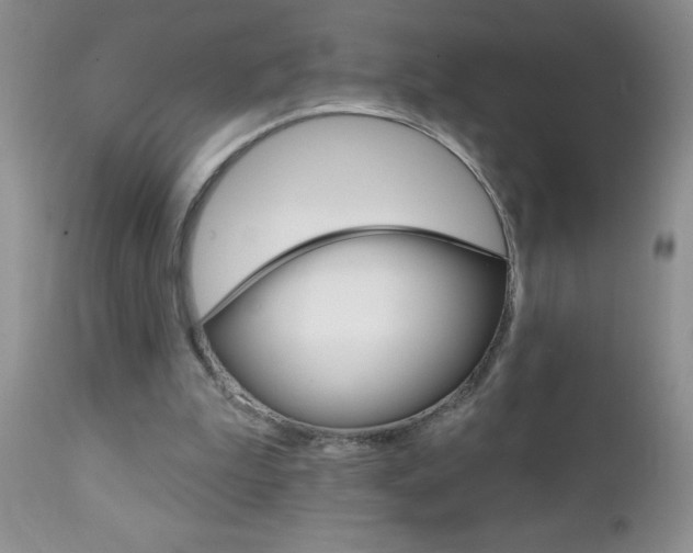 X0000111130199200906301113