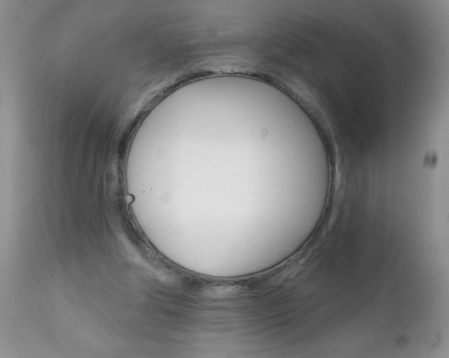 X0000111130202200906301113