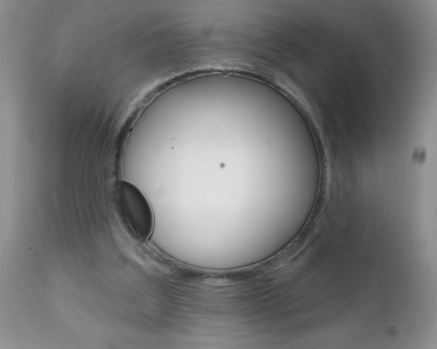 X0000111130203200906301113