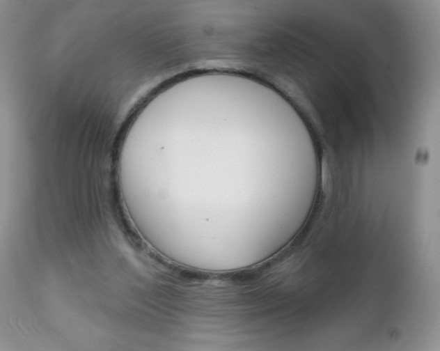 X0000111130204200906301113