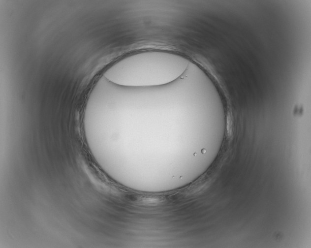 X0000111130205200906301113