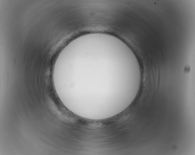 X0000111130206200906301113
