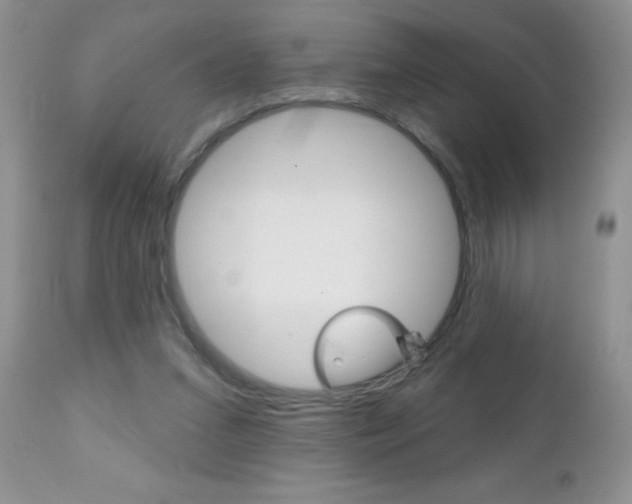 X0000111130207200906301113